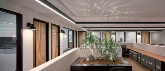 Contemporary office interior featuring a sleek, recessed lighting strip creating a soft reflection on the ceiling. Dark wooden door frames contrast with light walls. Central planter with lush greenery adds biophilic design elements, enhancing the space's modern, understated aesthetic.