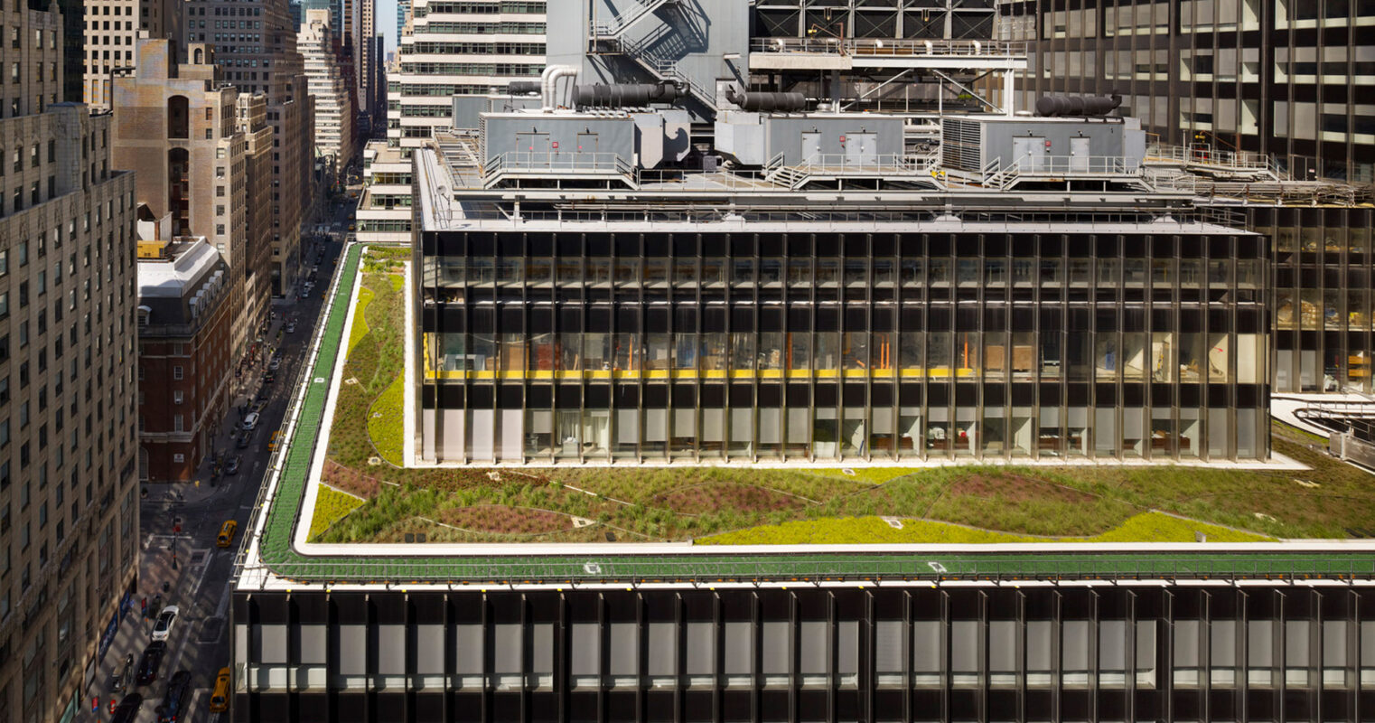 Green rooftop garden on an urban building, integrating sustainable design with a mix of grasses and walkways among modern architecture, offering contrast to the adjacent traditional skyscrapers.