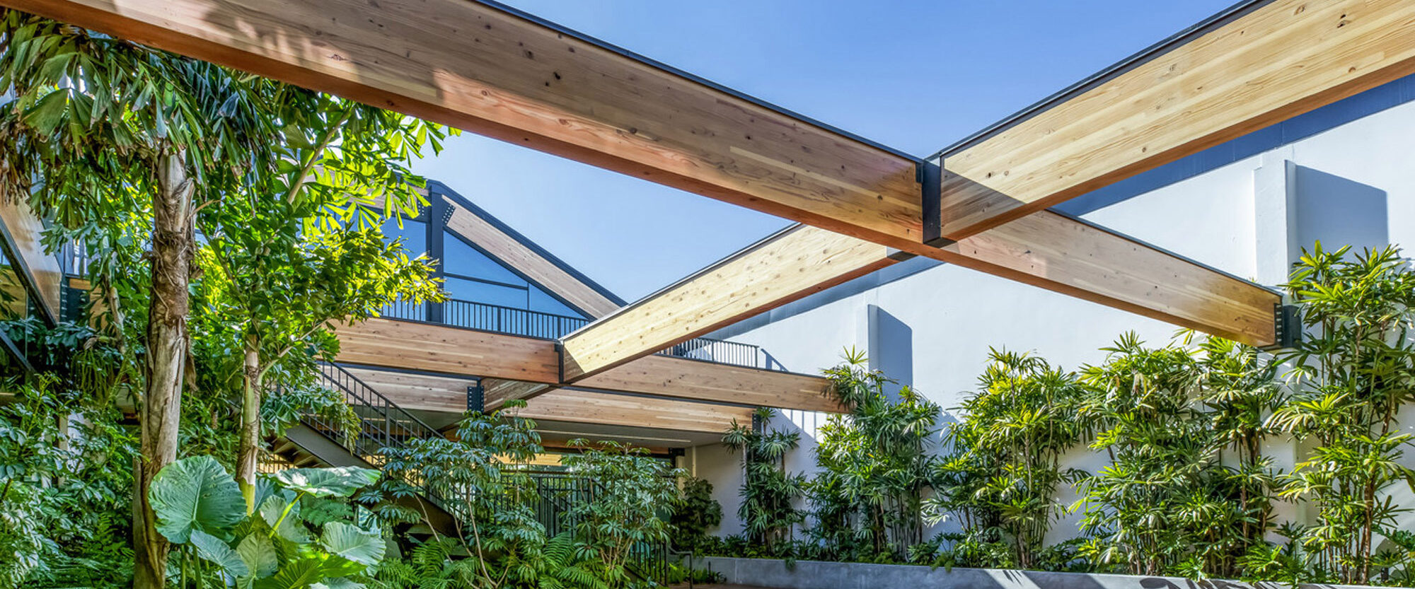 Lush greenery surrounds a modern outdoor atrium with wooden decking and beams. The architecture features clean lines, emphasizing natural light and indoor-outdoor fluidity.