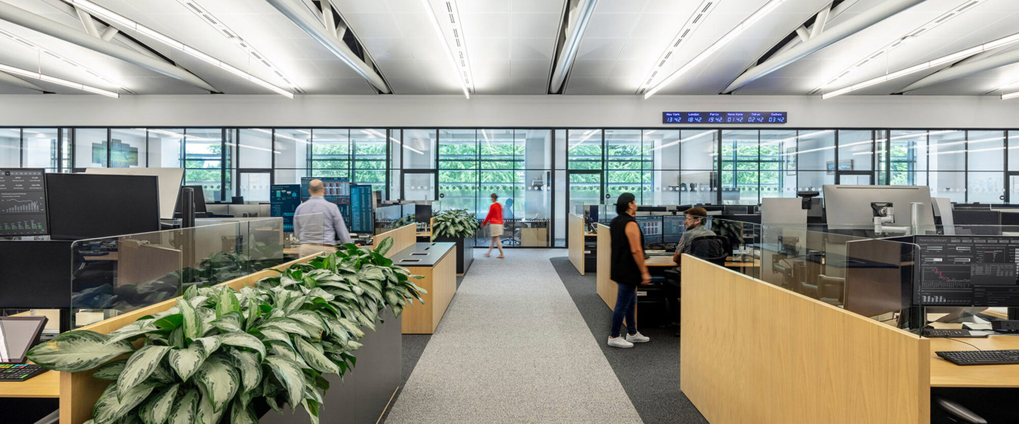 Modern office space featuring sleek, linear lighting overhead, modular workstations with wood panel dividers, ergonomic chairs, and thoughtful incorporation of greenery enhancing the workspace environment.