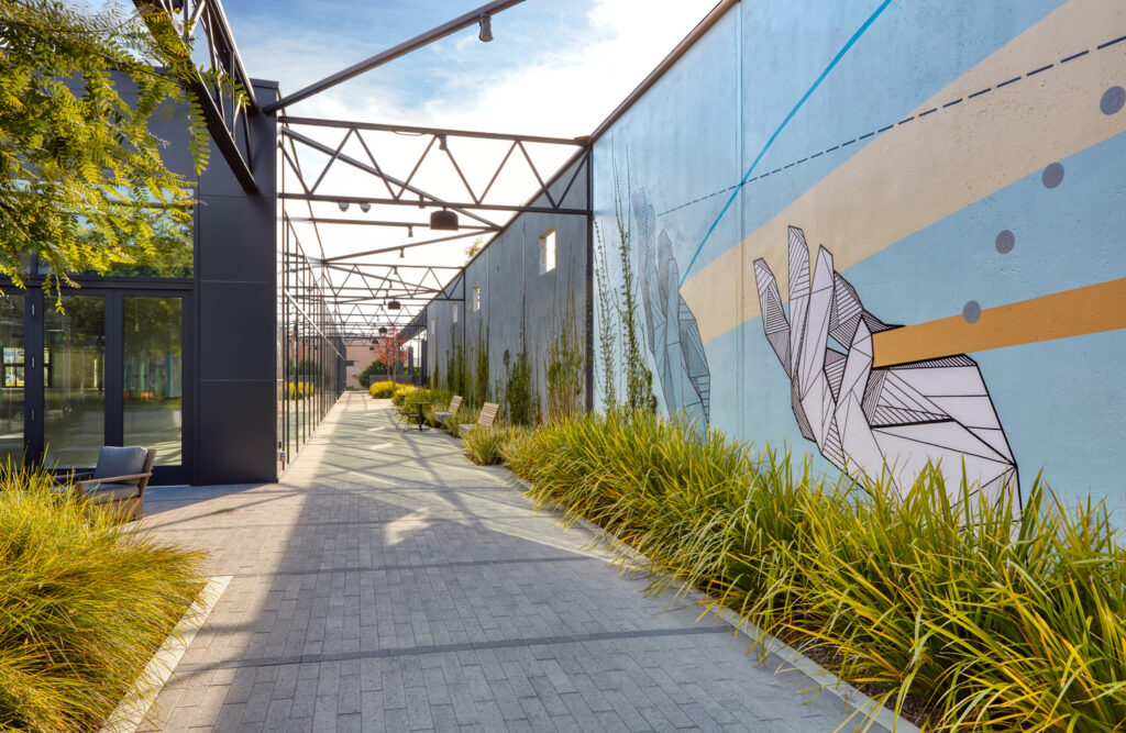 Outdoor concrete walkway with native plantings on the perimeter of a converted warehouse now functioning as office space.