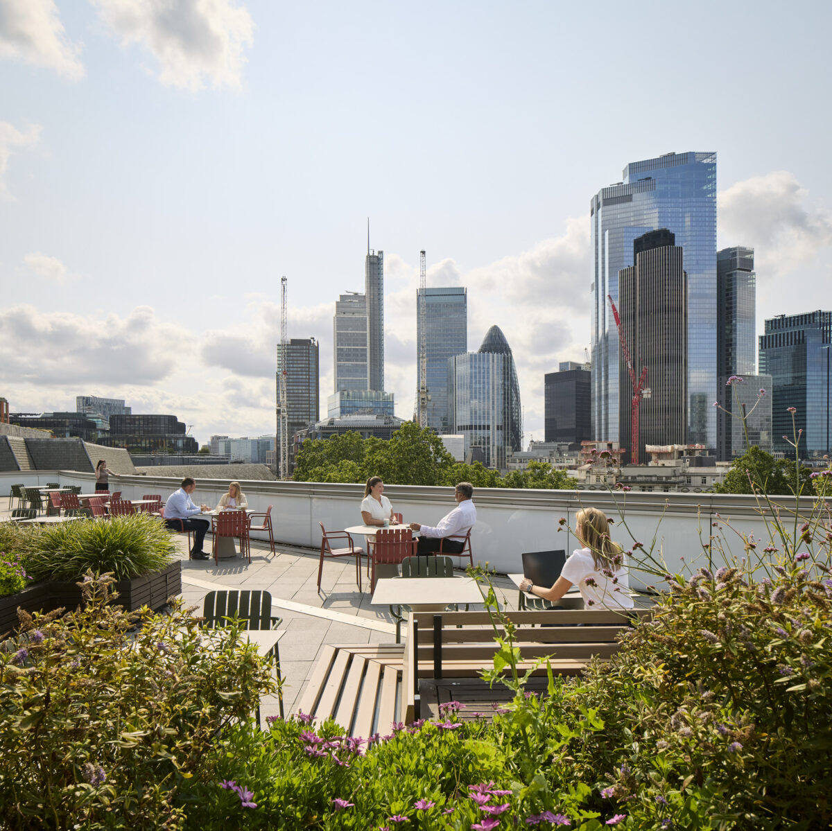 A modern urban rooftop terrace featuring a mix of comfortable seating and lush planters. Patrons relax against a backdrop of a stunning skyline, showcasing contemporary architectural styles. The vibrant greenery contrasts with sleek glass buildings, creating an inviting outdoor space that blends nature with city views.