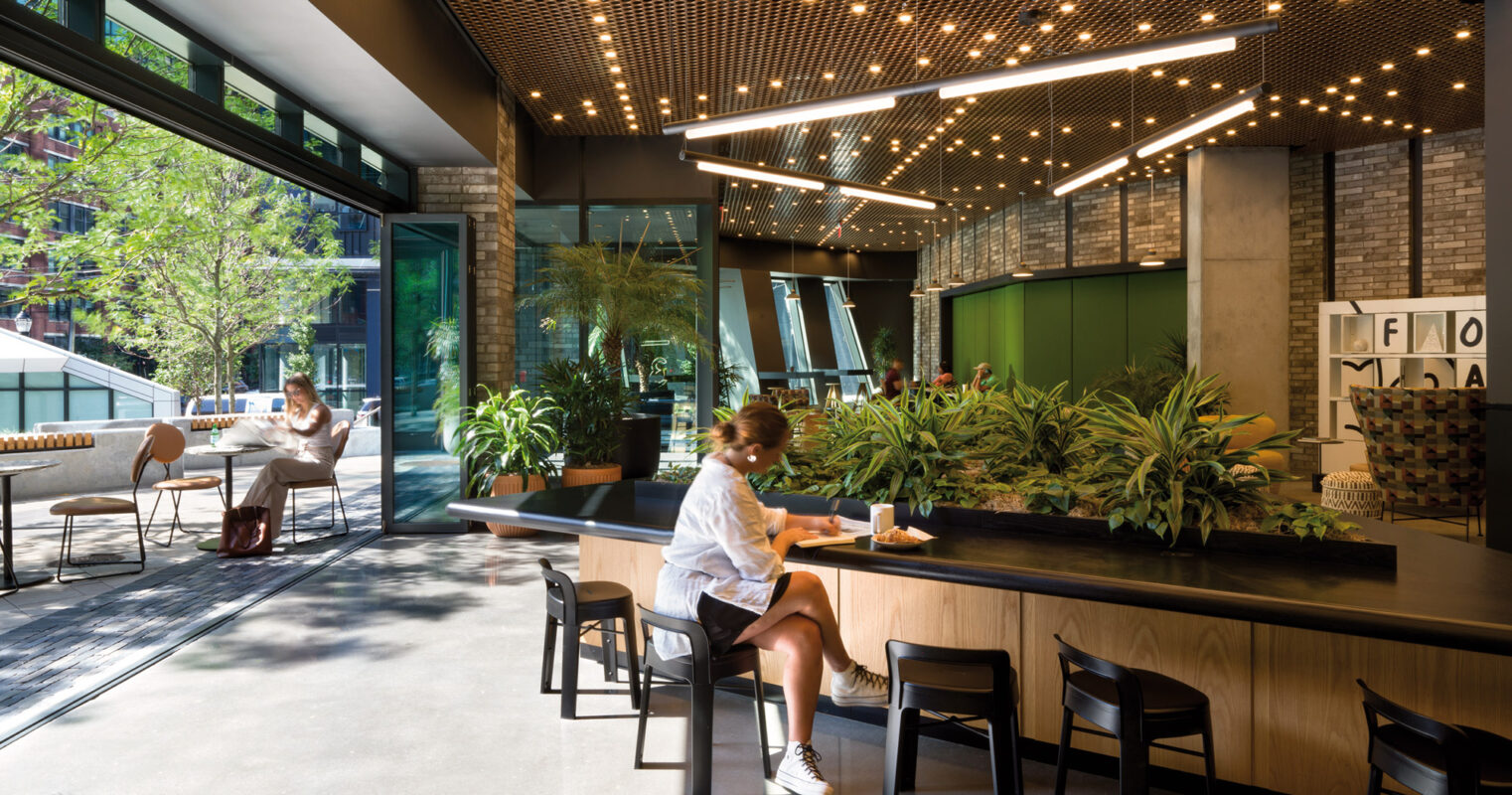 A spacious and modern cafe interior with natural lighting, featuring high ceilings with stylish hanging lights, green plant accents, and patrons enjoying a relaxed atmosphere at individual tables.