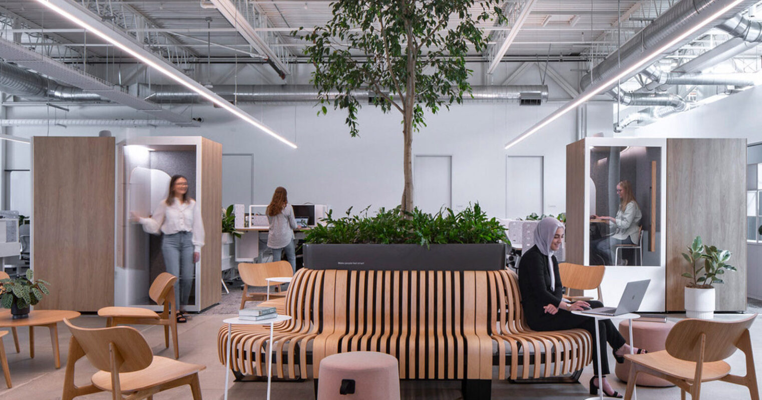 Spacious office interior bathed in natural light, featuring an eclectic mix of modern wooden desks, upholstered couches, and an indoor planting area offering a blend of functionality and biophilic design. Overhead exposed ductwork complements the industrial-chic aesthetic.