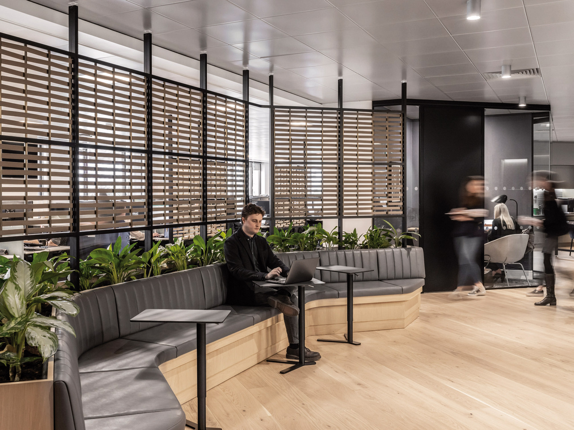 Modern office lounge area featuring sleek wooden slatted room dividers, plush gray modular seating, and abundant greenery. A professional works on a laptop, suggesting a collaborative and flexible workspace. Ambient lighting and a blurred background convey a dynamic atmosphere.