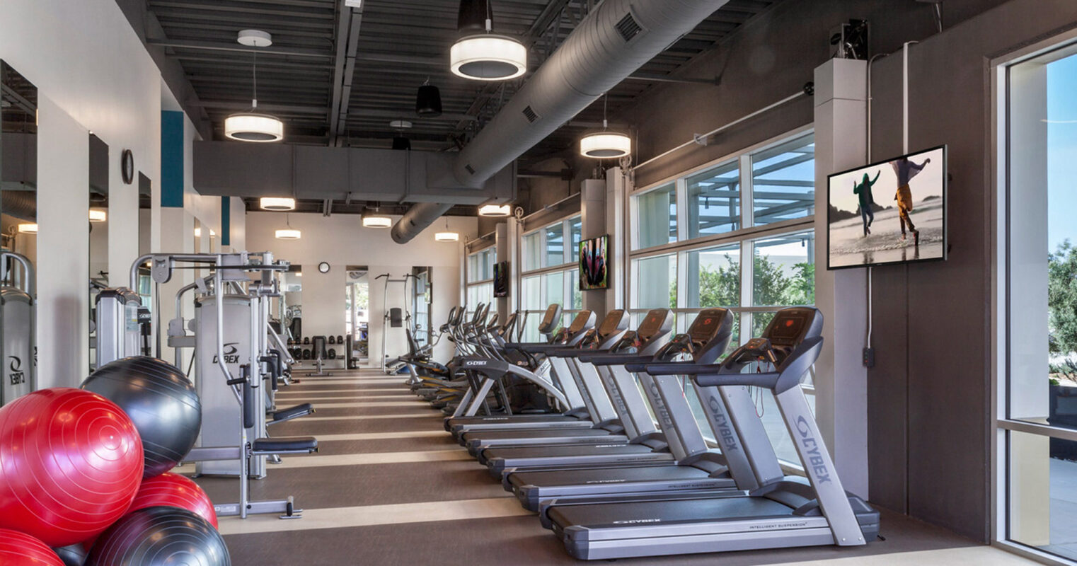 Modern gym interior featuring a row of treadmills facing floor-to-ceiling windows, mirrored walls, a variety of resistance training machines, and a balance ball station. Industrial-inspired exposed ductwork complements the sleek, neutral color palette.