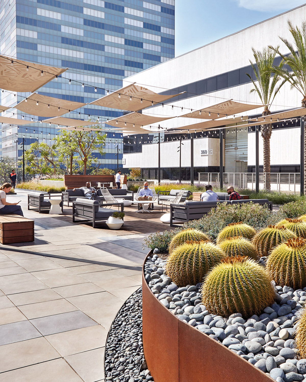 A modern terrace furnished with comfortable seating amidst lush potted plants and cacti, under the shade of elegant pergolas with a backdrop of urban high-rise buildings.