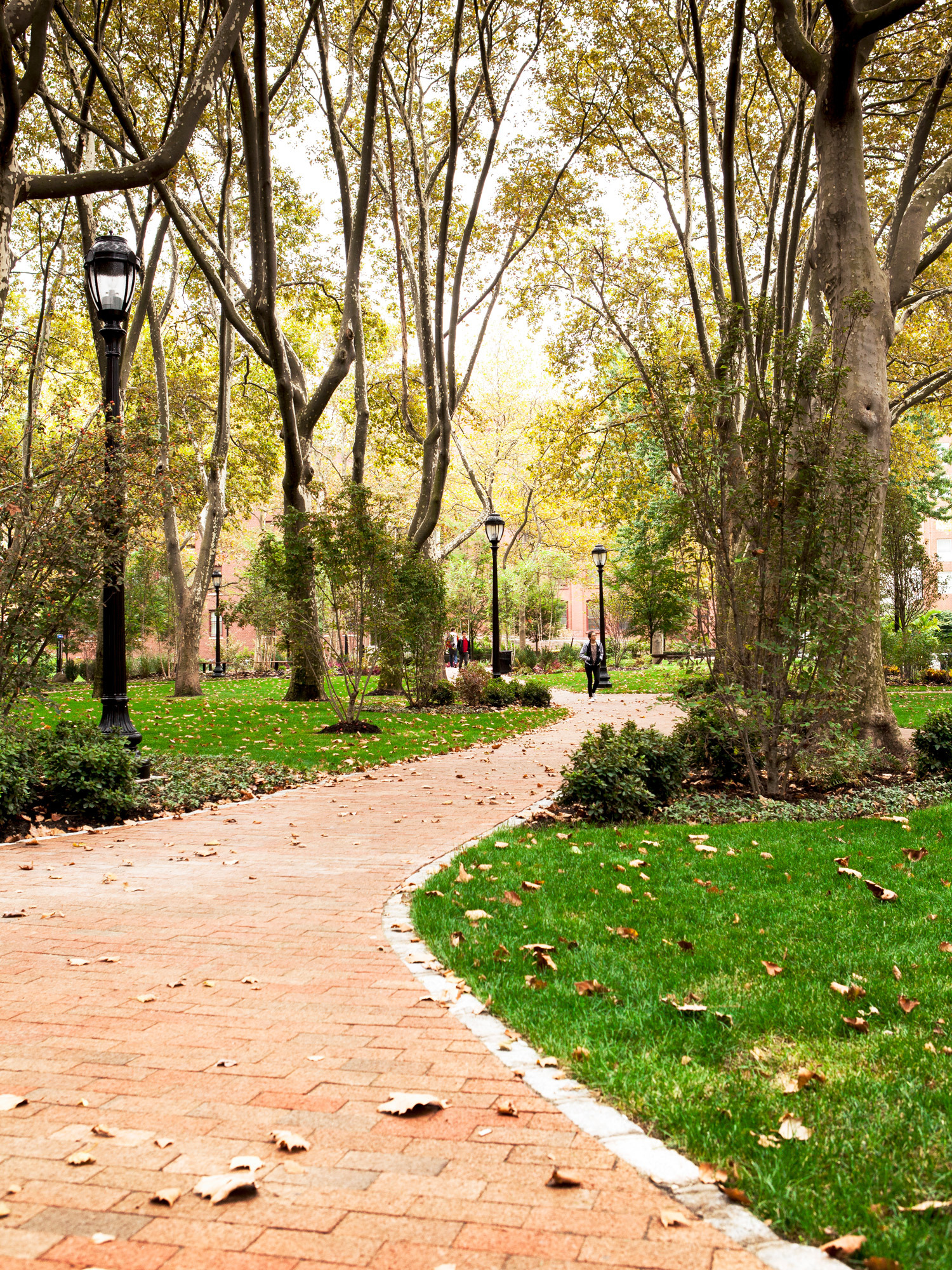Brick pathway meanders through a tranquil park with mature trees and green lawns, leading to a classic building facade, flanked by traditional lampposts and fallen autumn leaves.