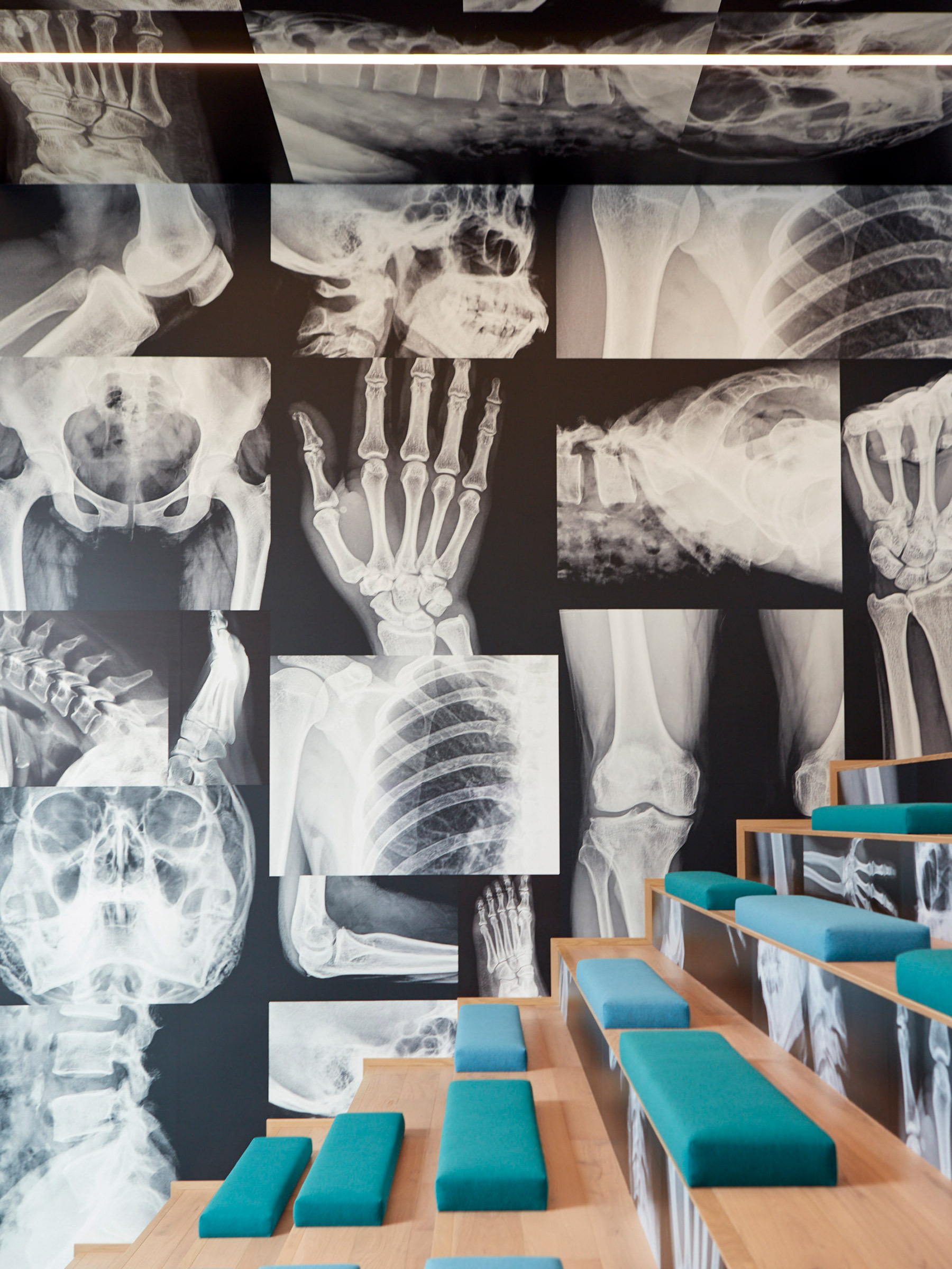 Modern classroom featuring a striking wall adorned with oversized, high-contrast radiographic images, juxtaposed with sleek wooden tables and bright blue cushioned stools, creating a compelling interplay of medical science and contemporary design.