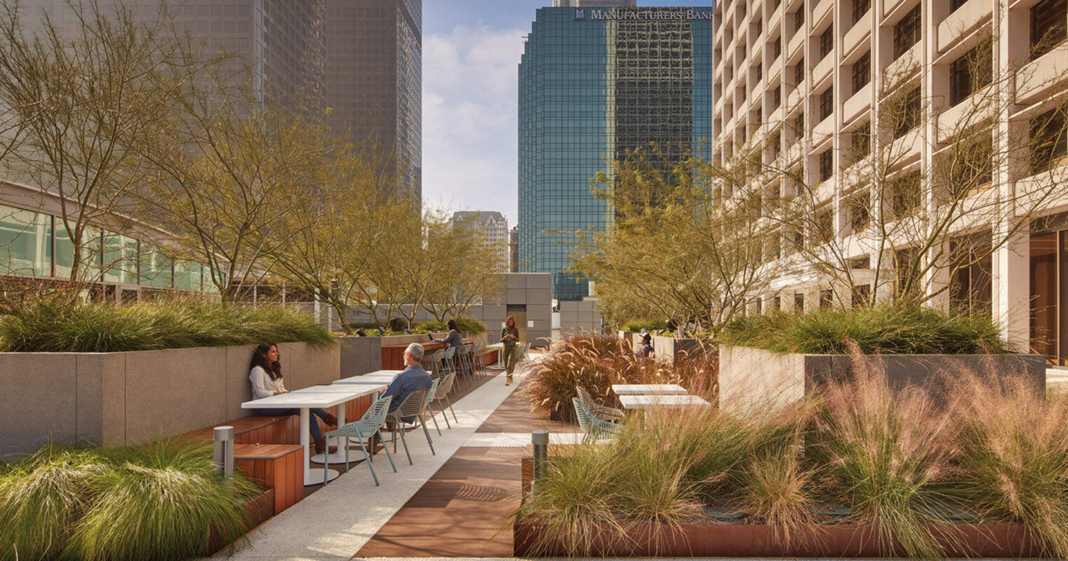Modern urban terrace with raised planters featuring ornamental grasses and perennials, providing a green oasis amidst skyscrapers. Outdoor seating areas allow for socializing and relaxation in the heart of the city.