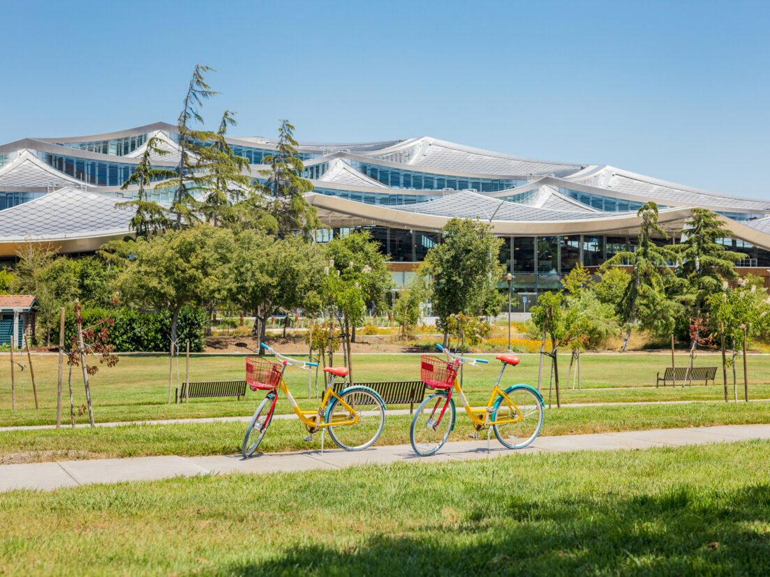 Lush green lawn fronts a modern architectural marvel with undulating glass facade and white supports, flanked by vibrant yellow bicycles in sunny park-like setting.